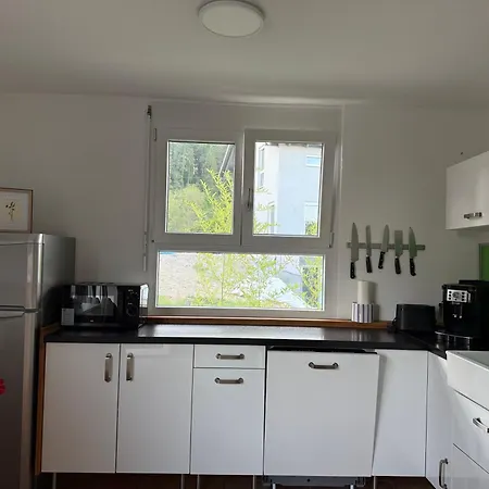 Ferienhaus Alpenblick Steinen (Lorrach)